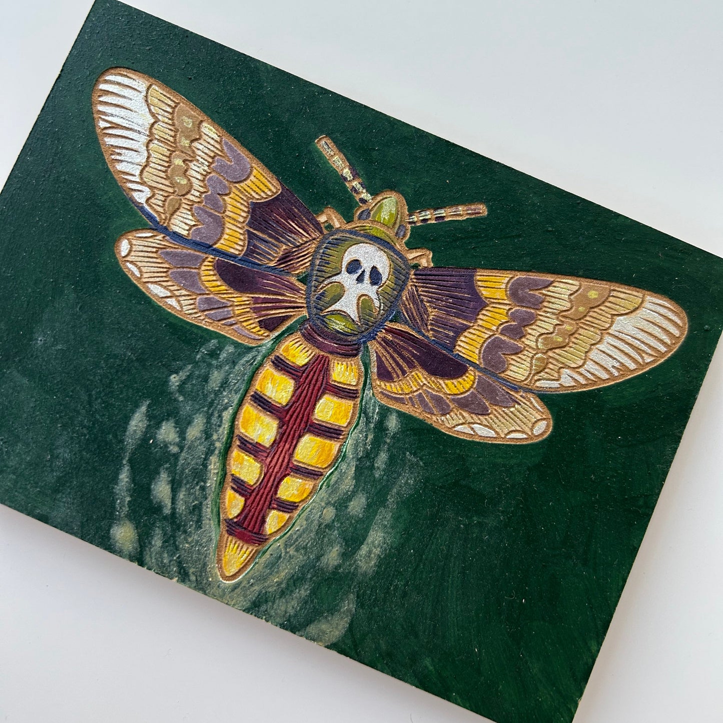 Painting Panel- Moth