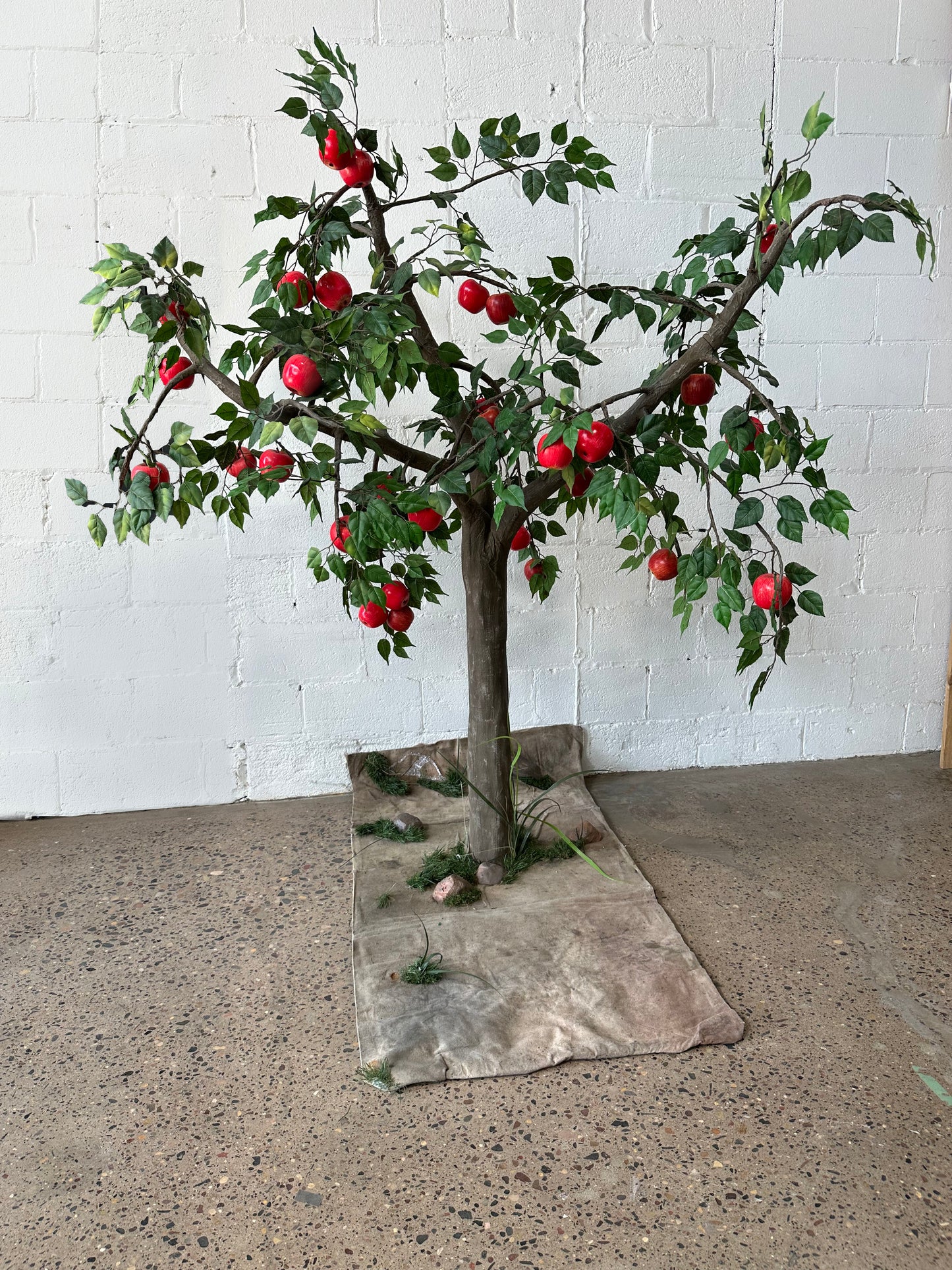 Apple Tree