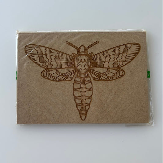 Painting Panel- Moth