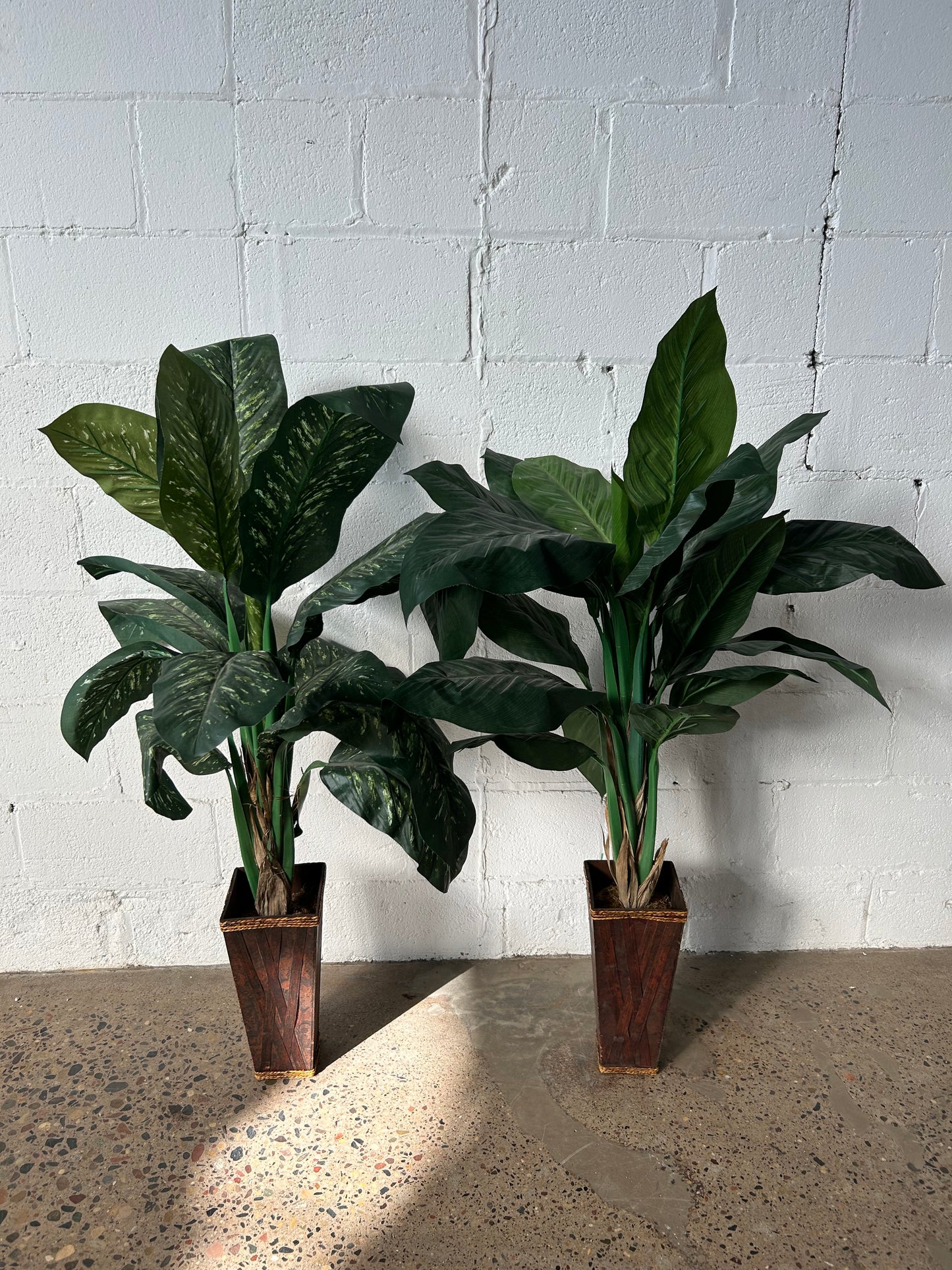 Pair of Potted Palms