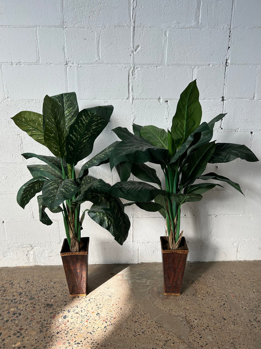 Pair of Potted Palms