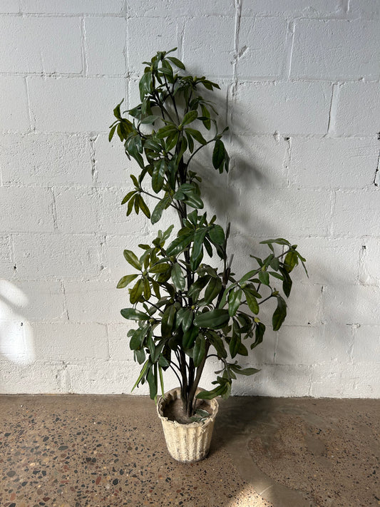 Short Potted Tree