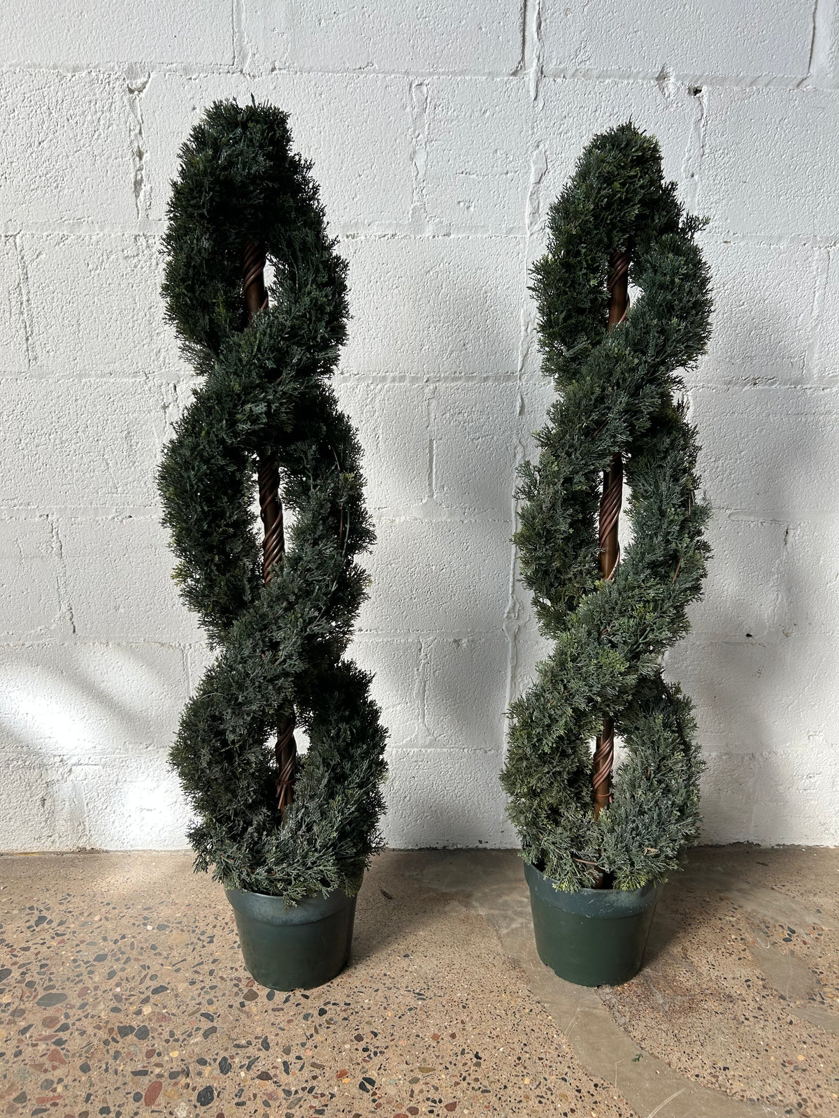 Topiary Rentals Swirled Topiary – Next Stage Rental and Market
