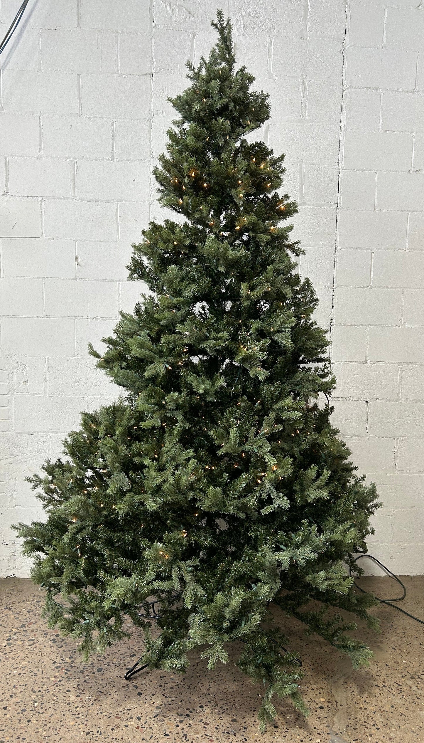 Pine Tree with Lights