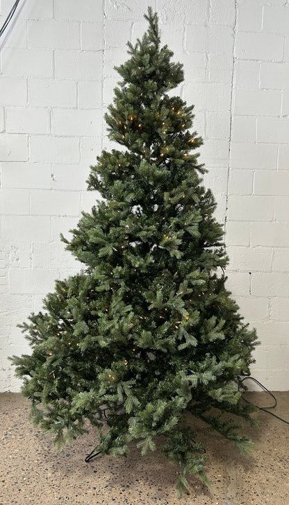 Pine Tree with Lights