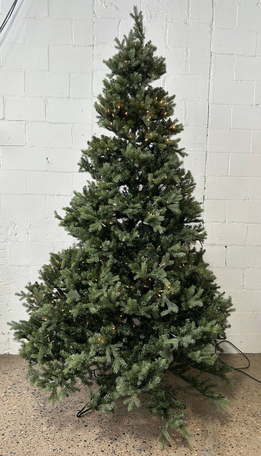 Pine Tree with Lights