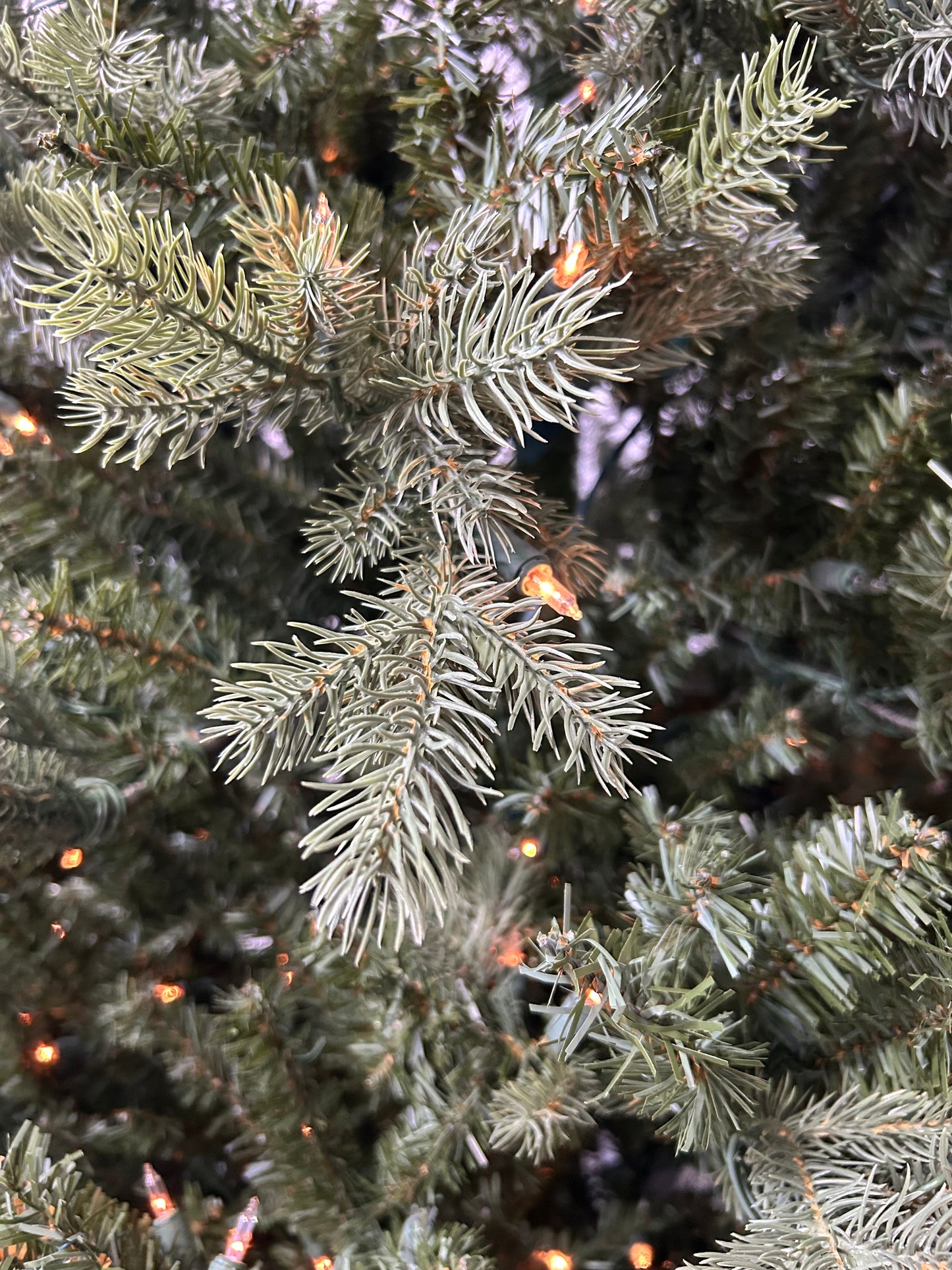 Pine Tree with Lights