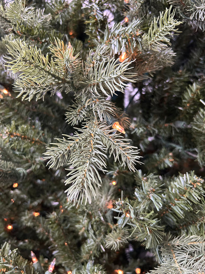 Pine Tree with Lights
