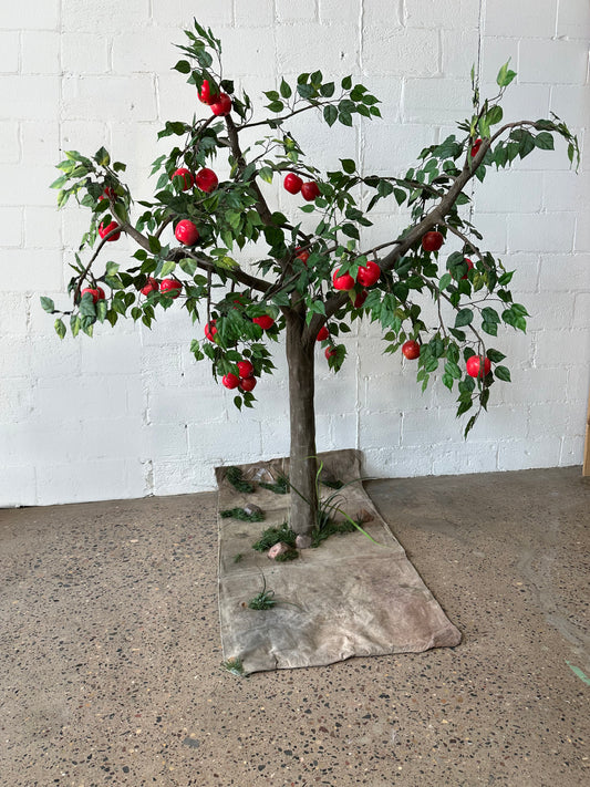 Apple Tree