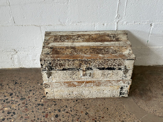 White Metal Trunk