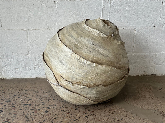 Large Wasp Nest