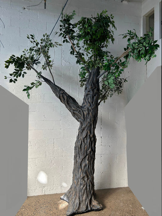Big Tree