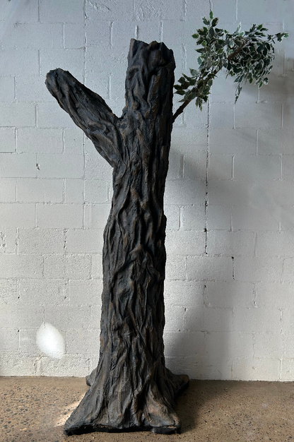 Big Tree